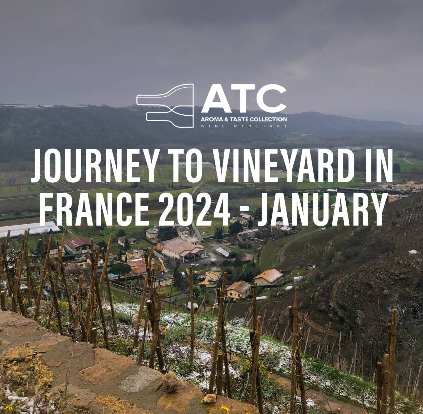 ATC Wine Merchant journey to vineyard in France 2024