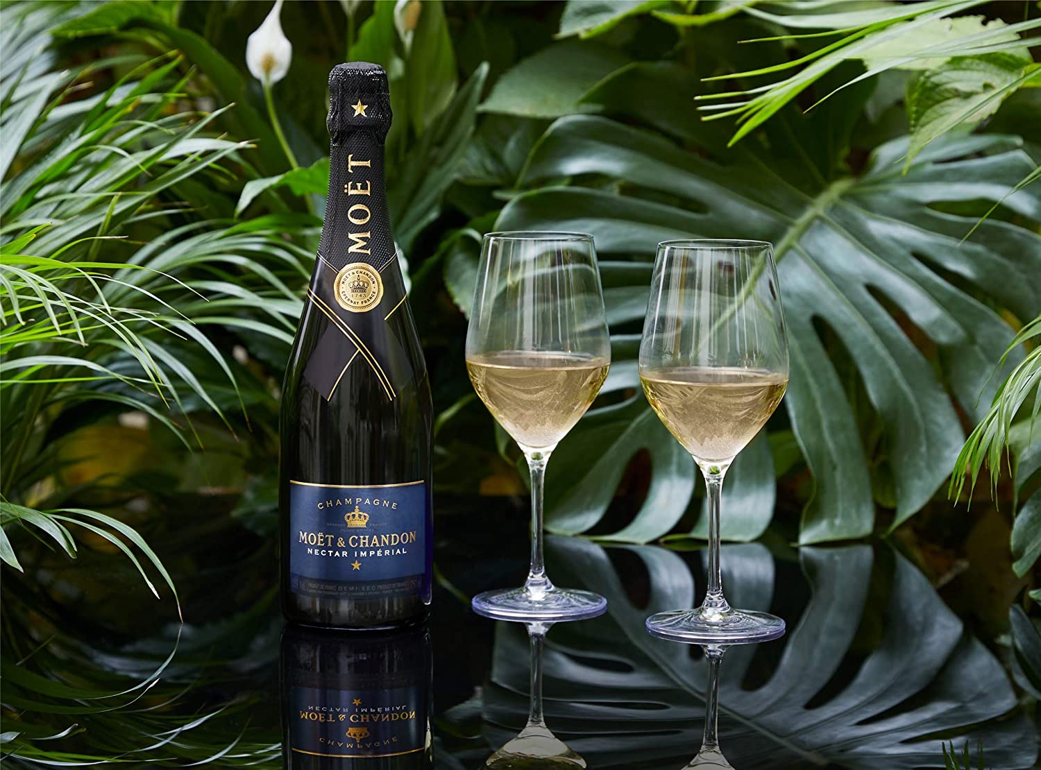 Moet & Chandon Nectar Brut - Image 3
