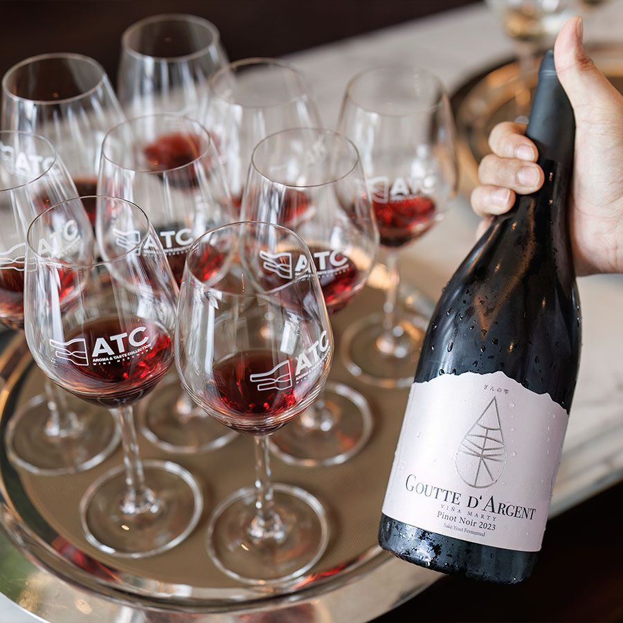 Vina Marty Goutte D'Argent Pinot Noir