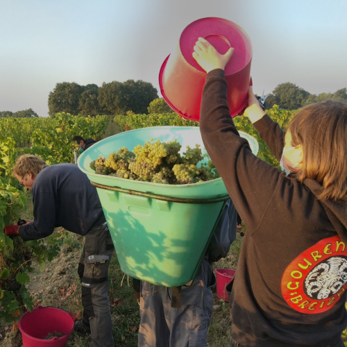Domaine des Rochelles