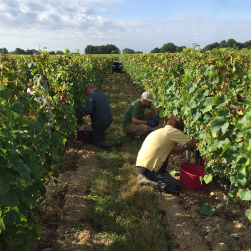 Domaine des Rochelles