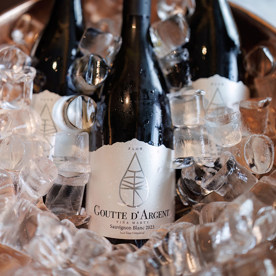 Vina Marty Goutte D'Argent Sauvignon Blanc
