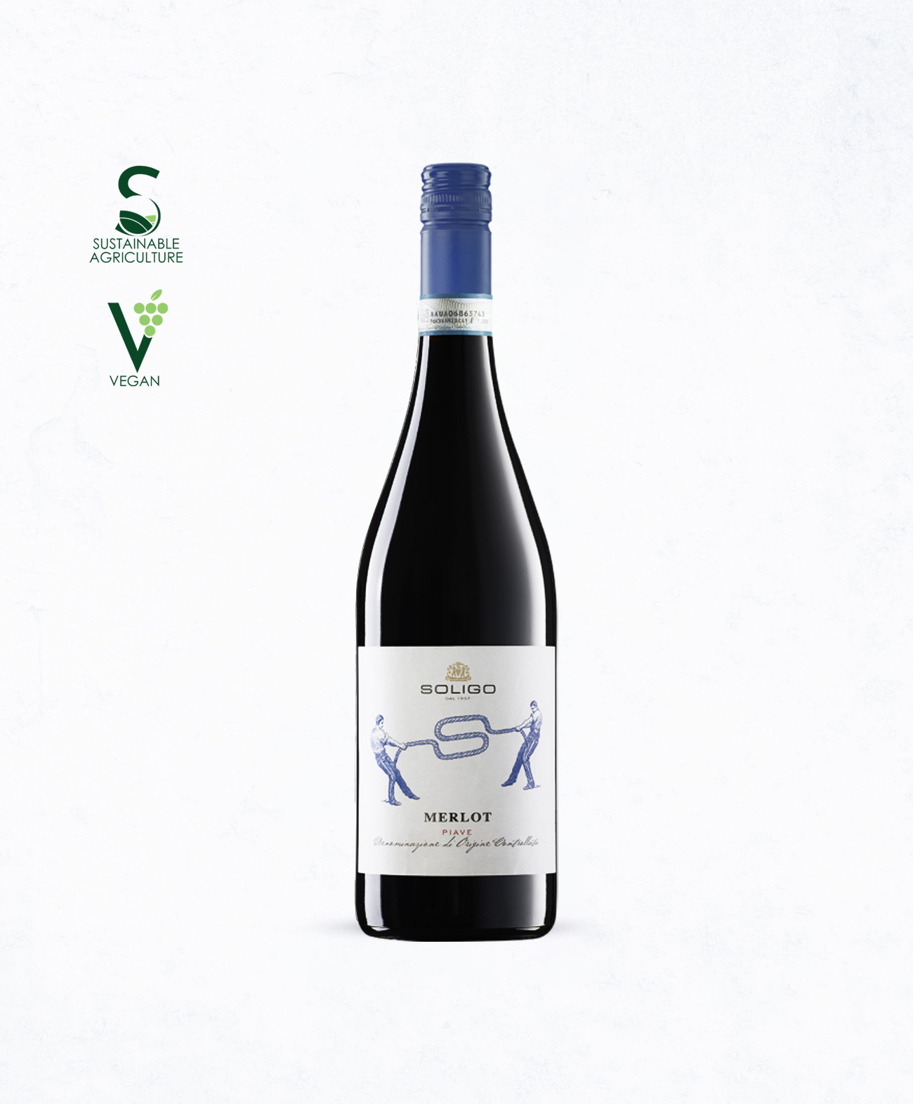Soligo Merlot - ATC Wine Merchant - Italy Wine