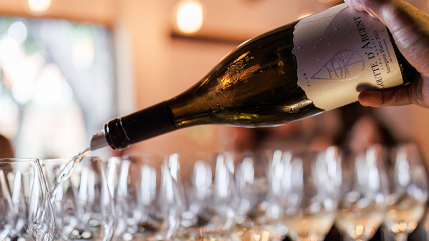 Goutte D'Argent Sauvignon Blanc - ATC Wine Merchant