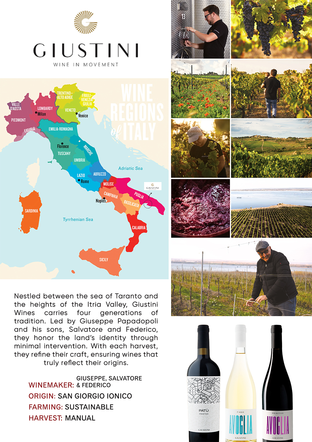 Giustini - Italian Winery