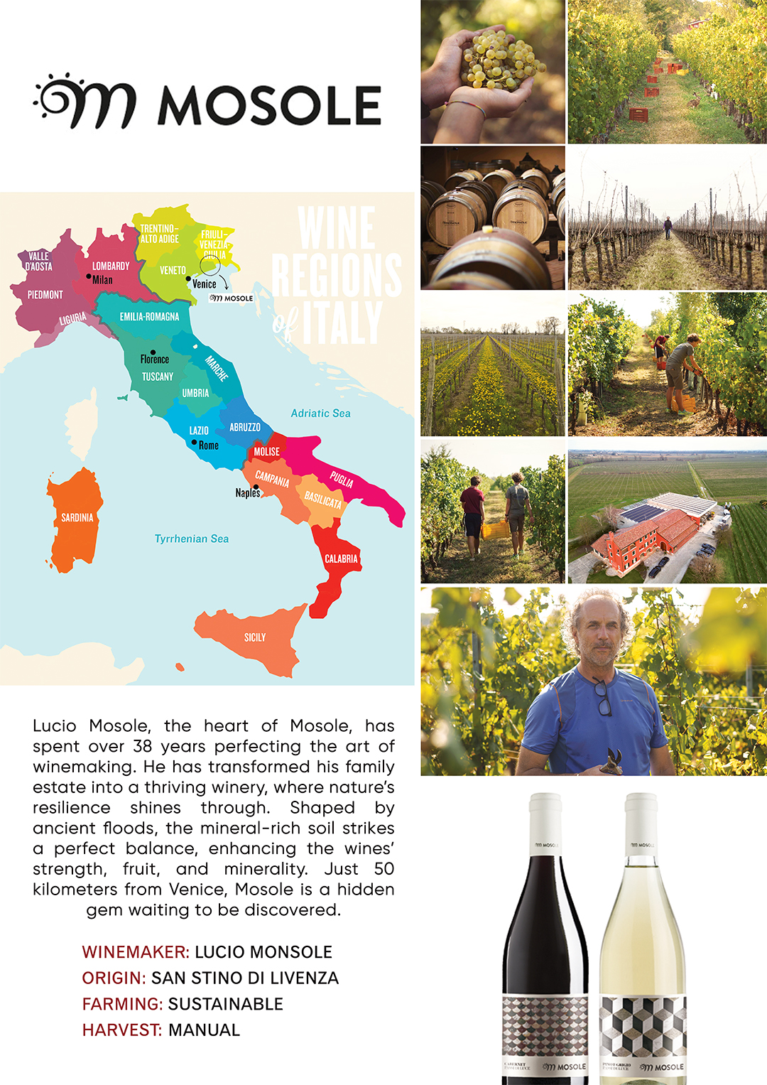 Tenuta Mosole - Italian Winery