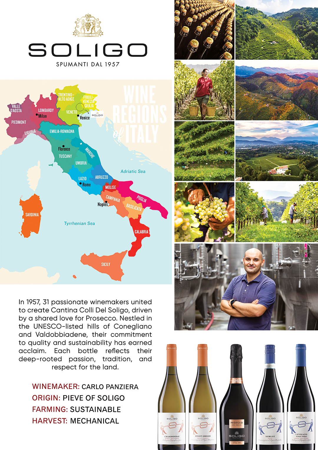 Colli del Soligo - Italian Winery
